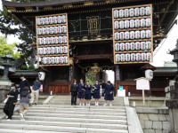 IMGP0617